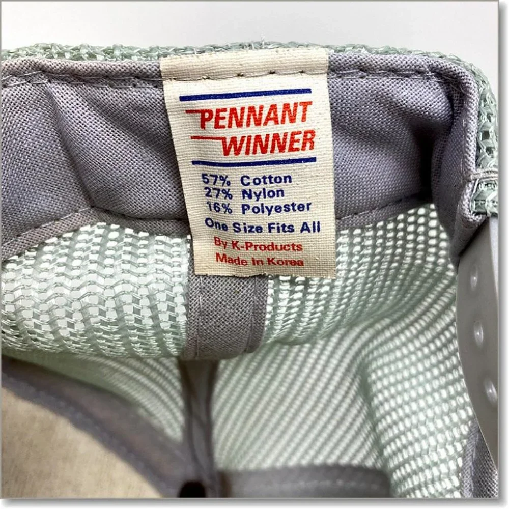 Pennant Winner vtg titan